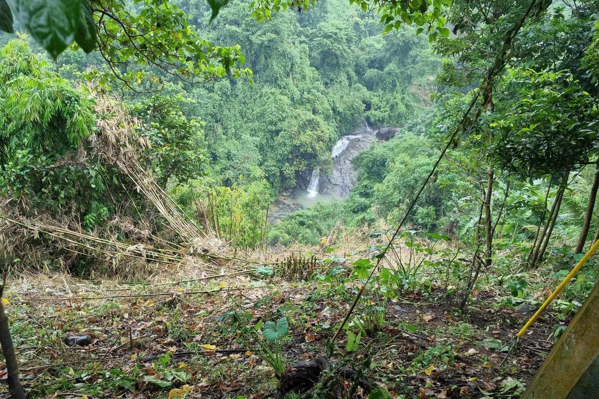 Land for Sale in Cares, Pugo, La Union – photo 3
