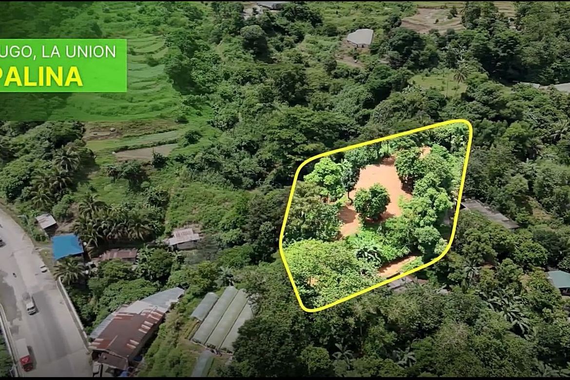 Land for Sale in Cares, Pugo, La Union