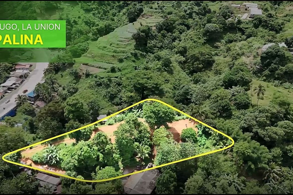 Land for Sale in Cares, Pugo, La Union – photo 4
