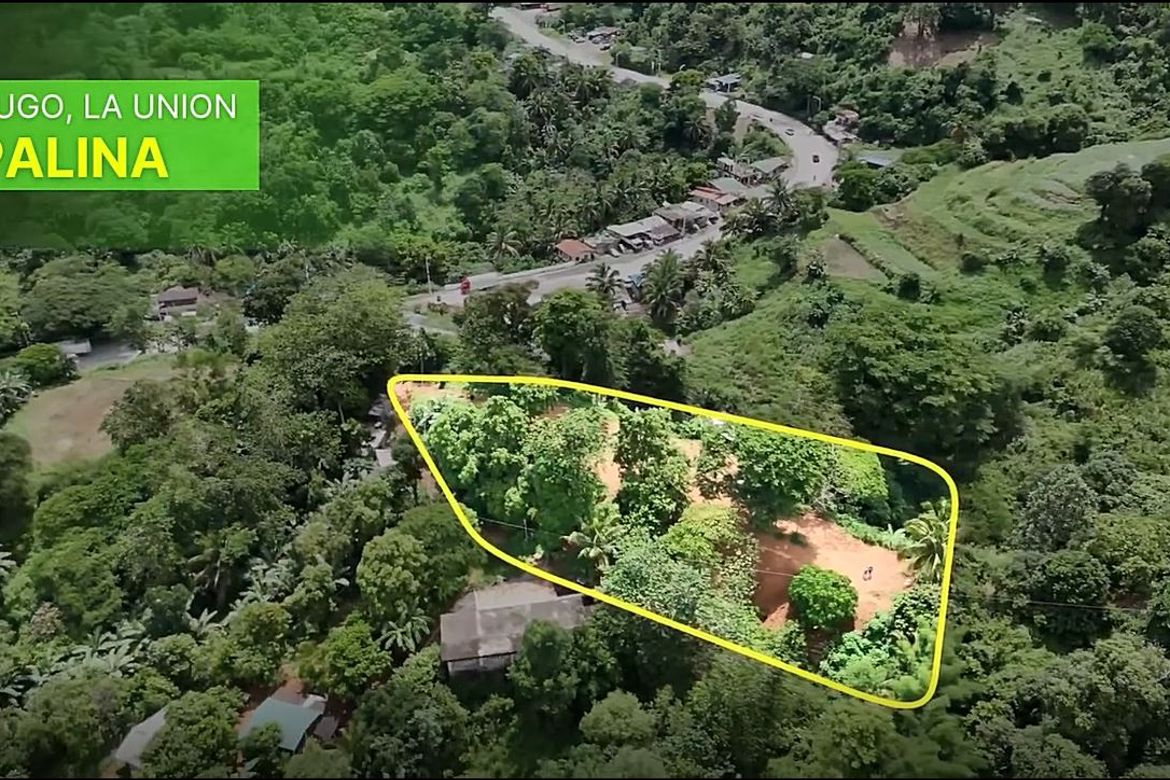 Land for Sale in Cares, Pugo, La Union – photo 5
