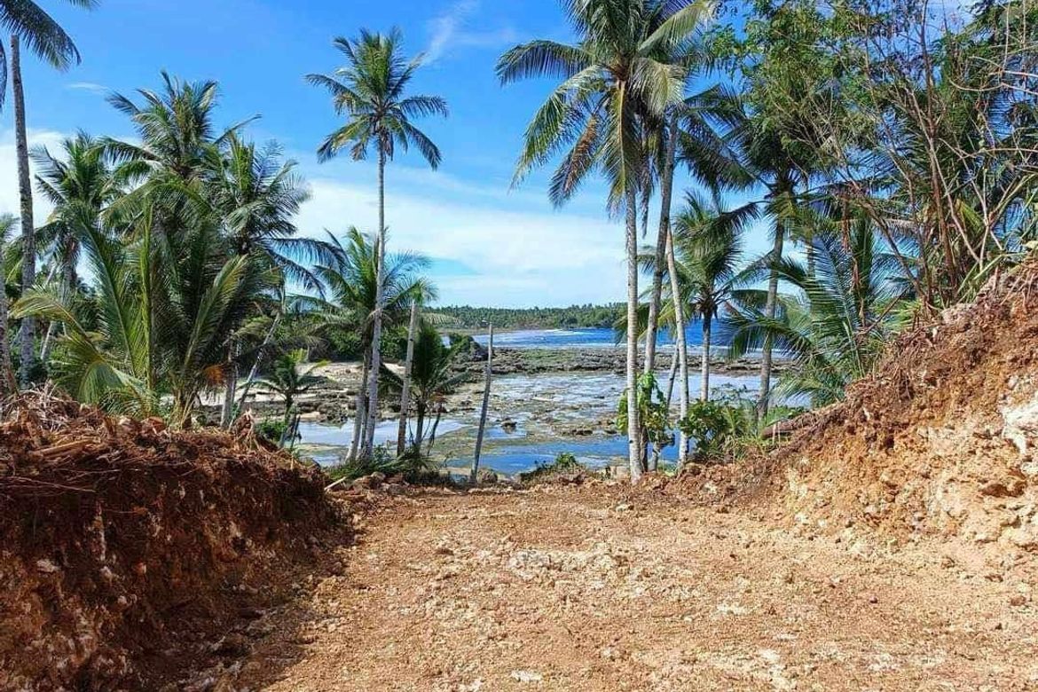 Land for Sale in Caridad, Pilar, Surigao del Norte – photo 3