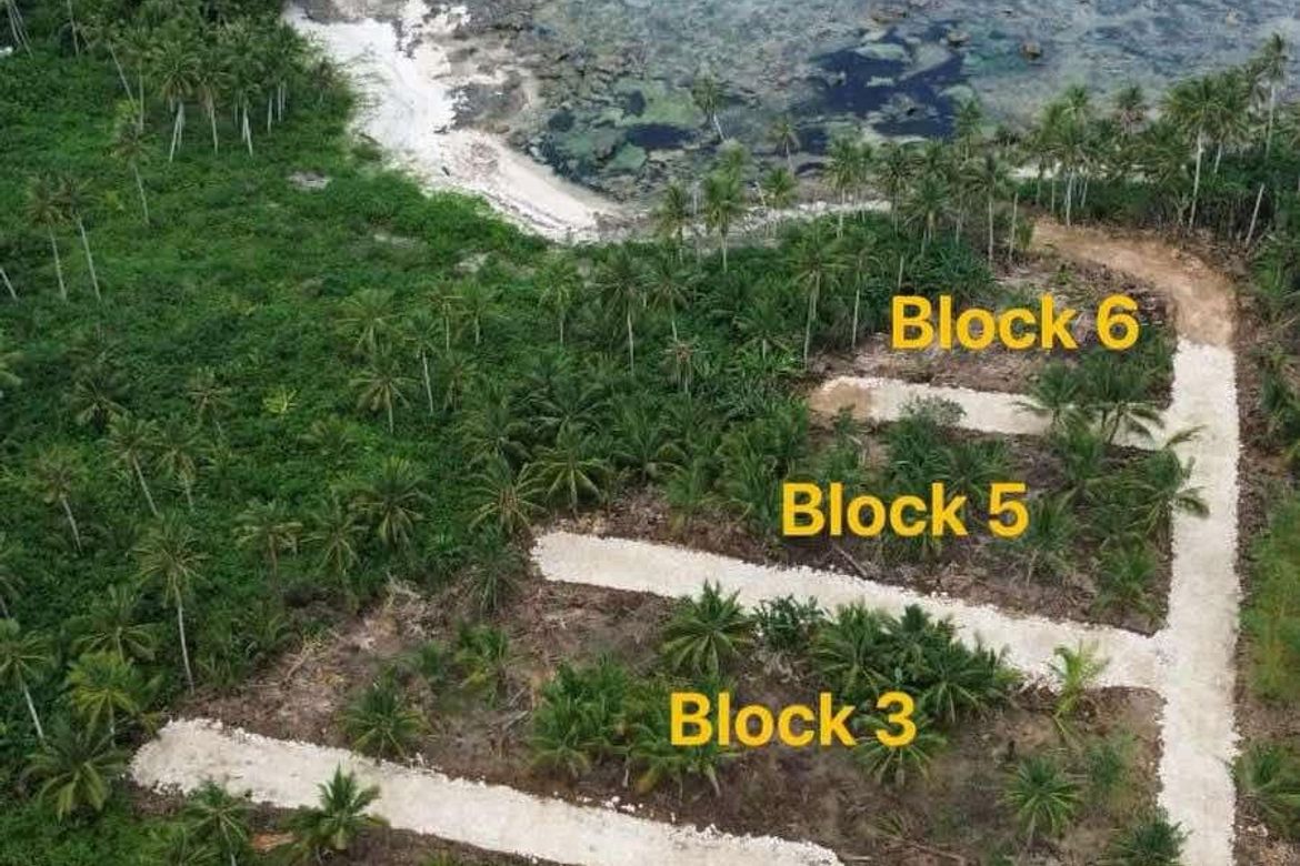 Land for Sale in Caridad, Pilar, Surigao del Norte – photo 6