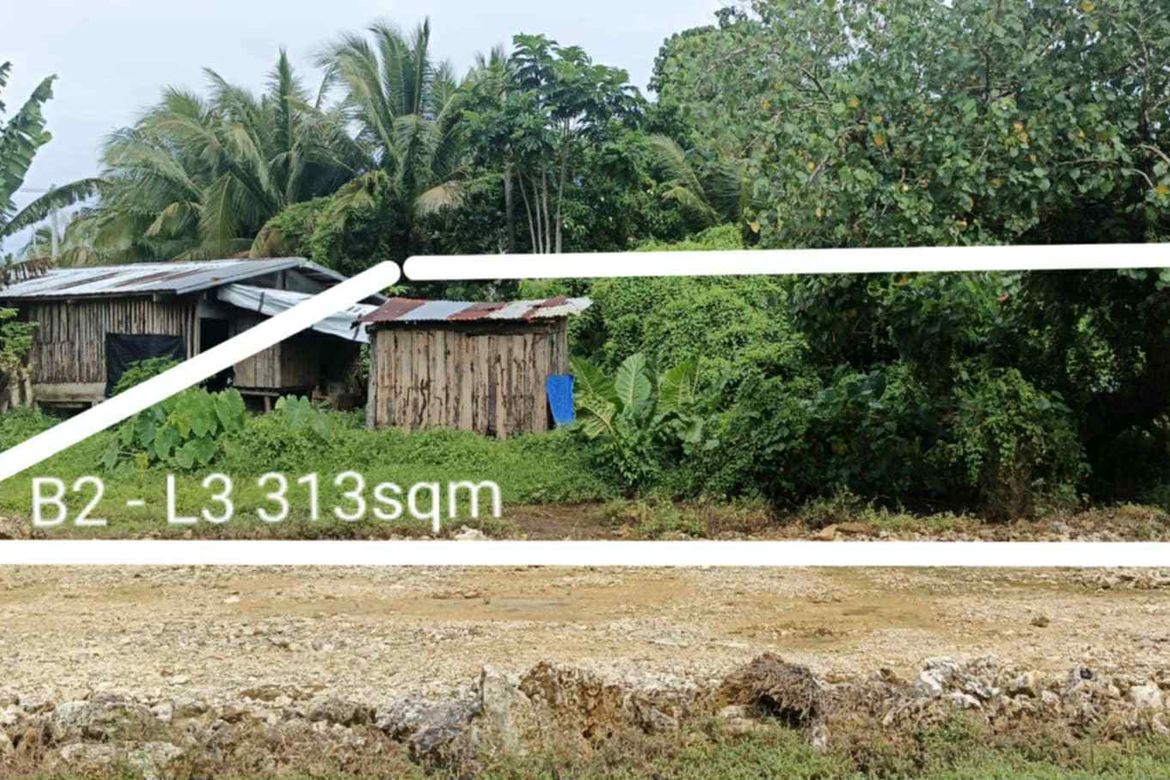 Land for Sale in Caridad, Pilar, Surigao del Norte – photo 12