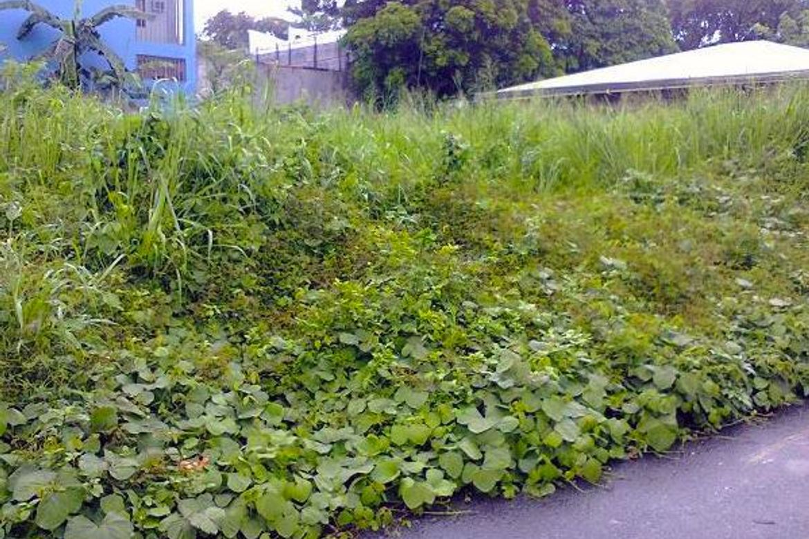 Land for Sale in Carmona, Makati, Metro Manila