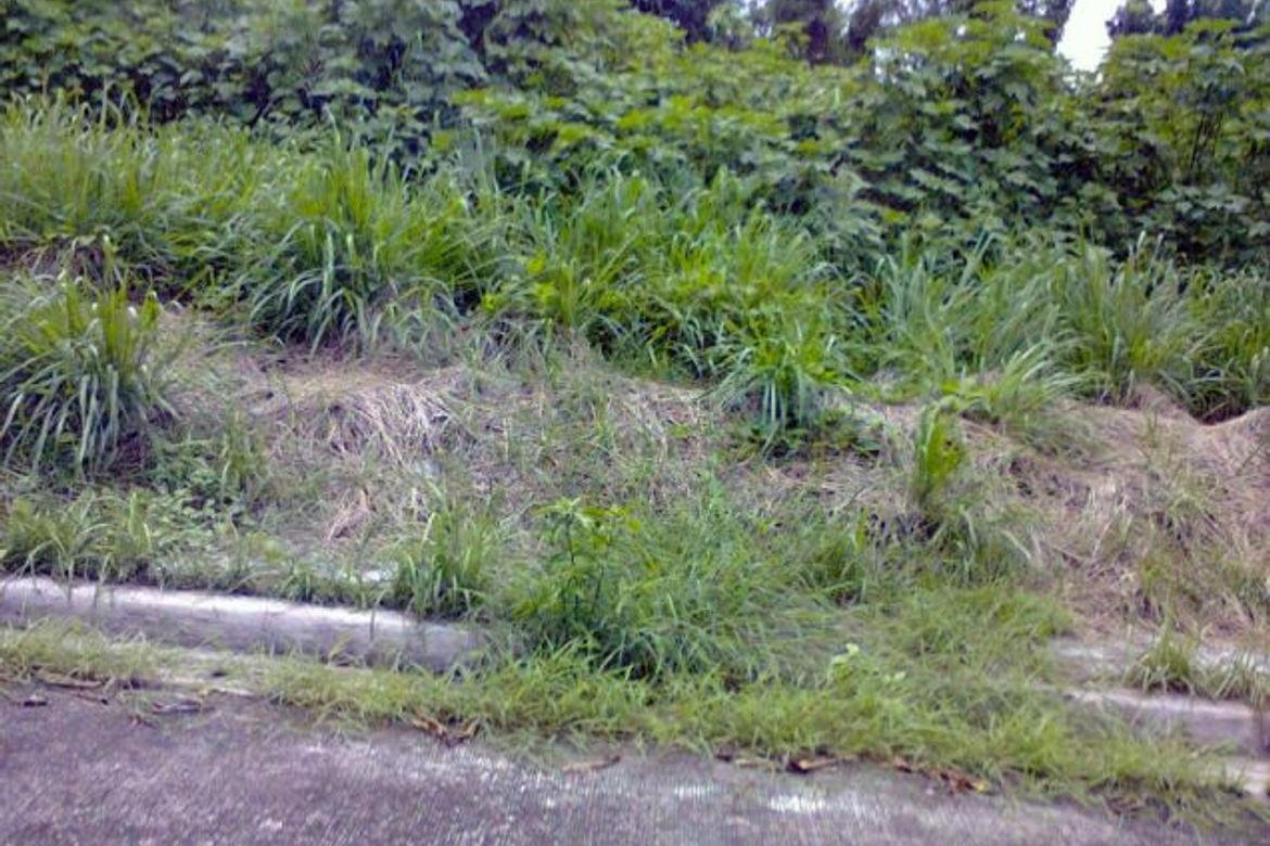 Land for Sale in Carmona, Makati, Metro Manila – photo 5