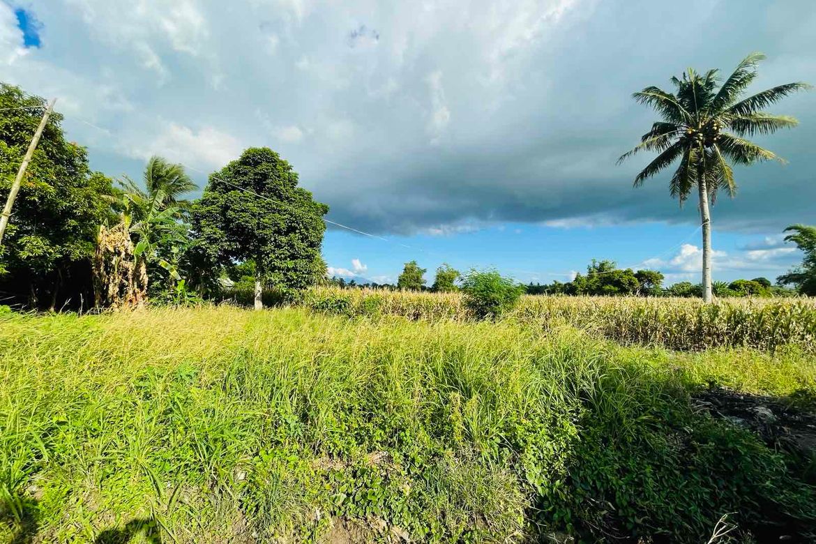 Land for Sale in Caroyroyan, Pili, Camarines Sur – photo 6