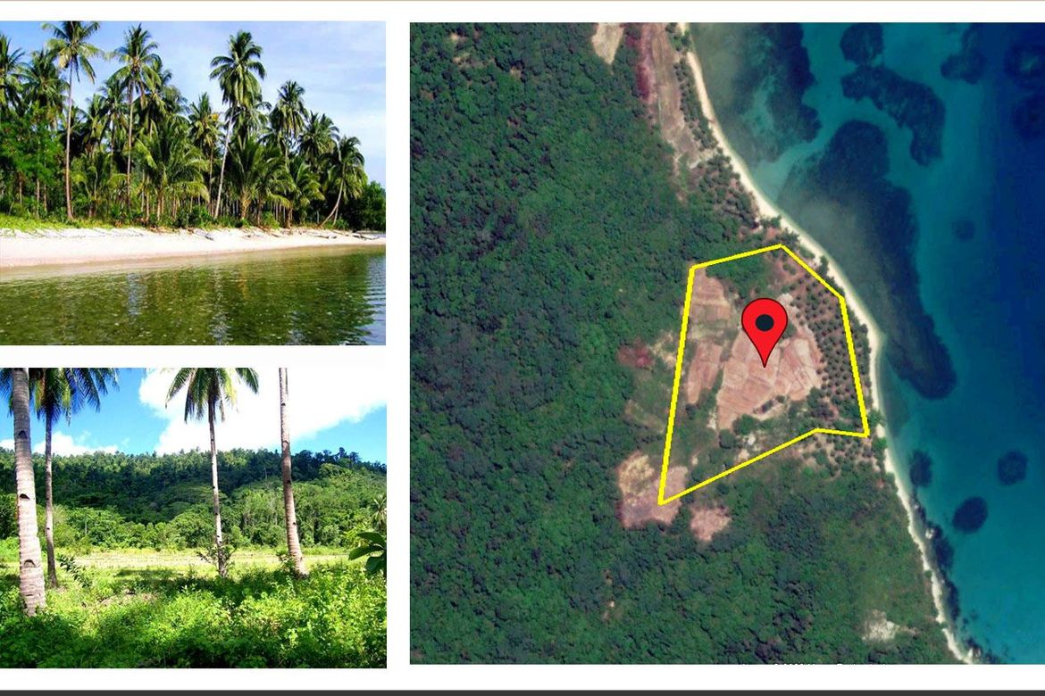 Land for Sale in Caruray, San Vicente, Palawan
