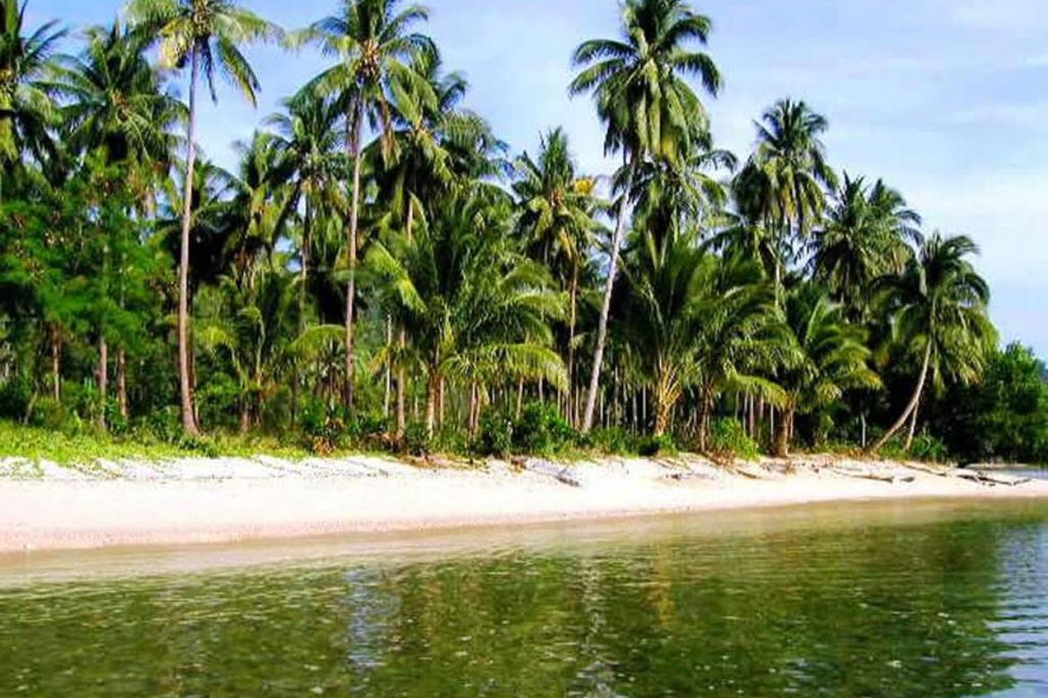 Land for Sale in Caruray, San Vicente, Palawan – photo 2
