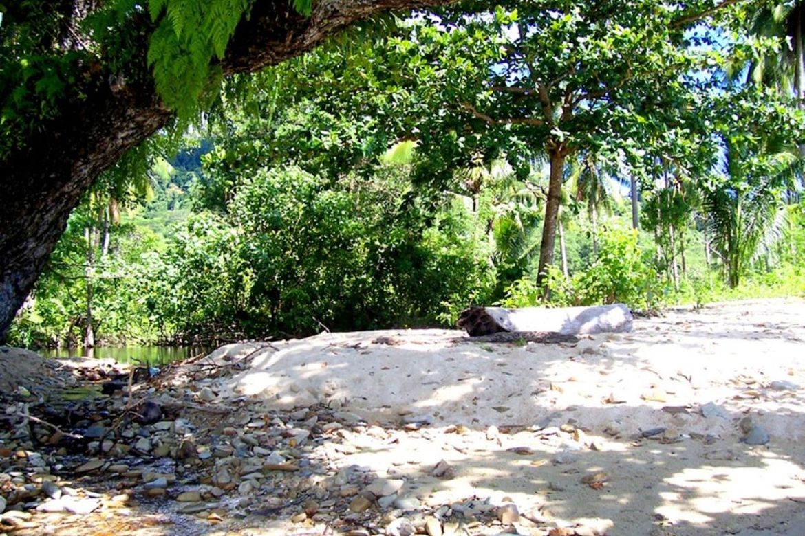 Land for Sale in Caruray, San Vicente, Palawan – photo 7