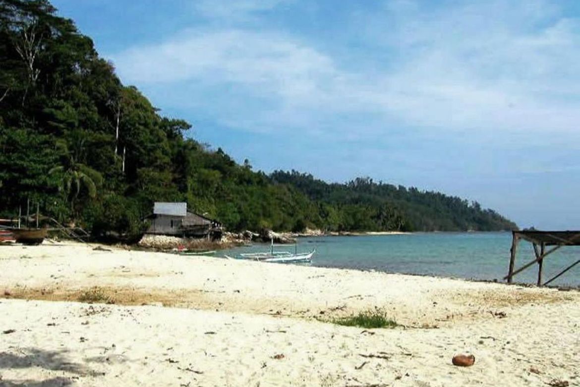 Land for Sale in Caruray, San Vicente, Palawan – photo 8