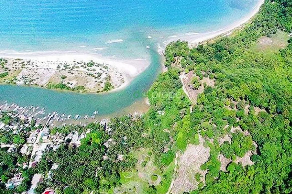 Land for Sale in Caruray, San Vicente, Palawan – photo 3