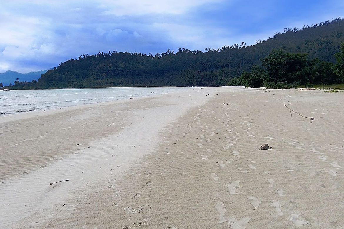 Land for Sale in Caruray, San Vicente, Palawan – photo 8