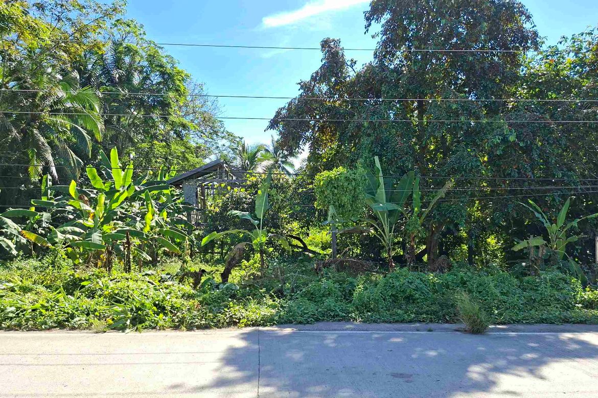 Land for Sale in Caruray, San Vicente, Palawan
