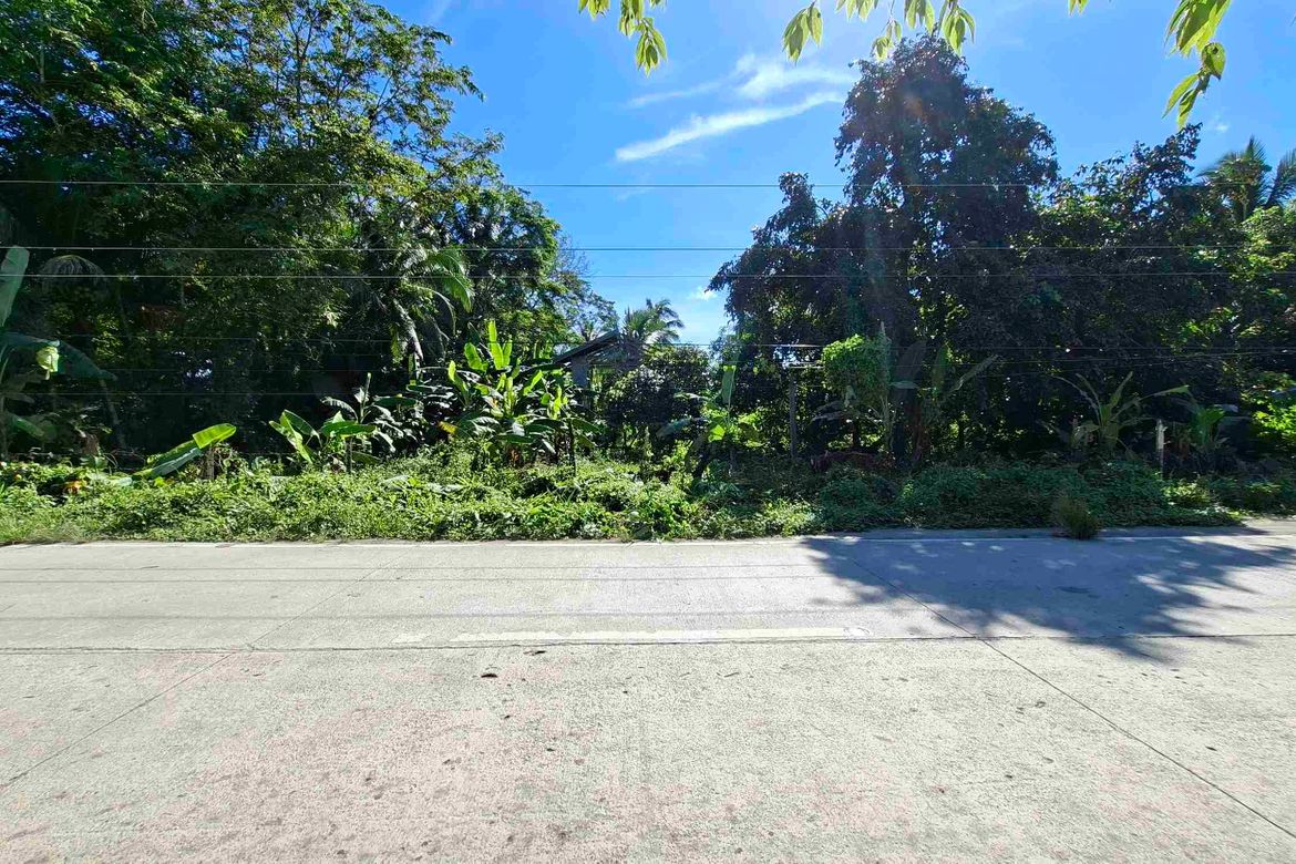 Land for Sale in Caruray, San Vicente, Palawan – photo 3