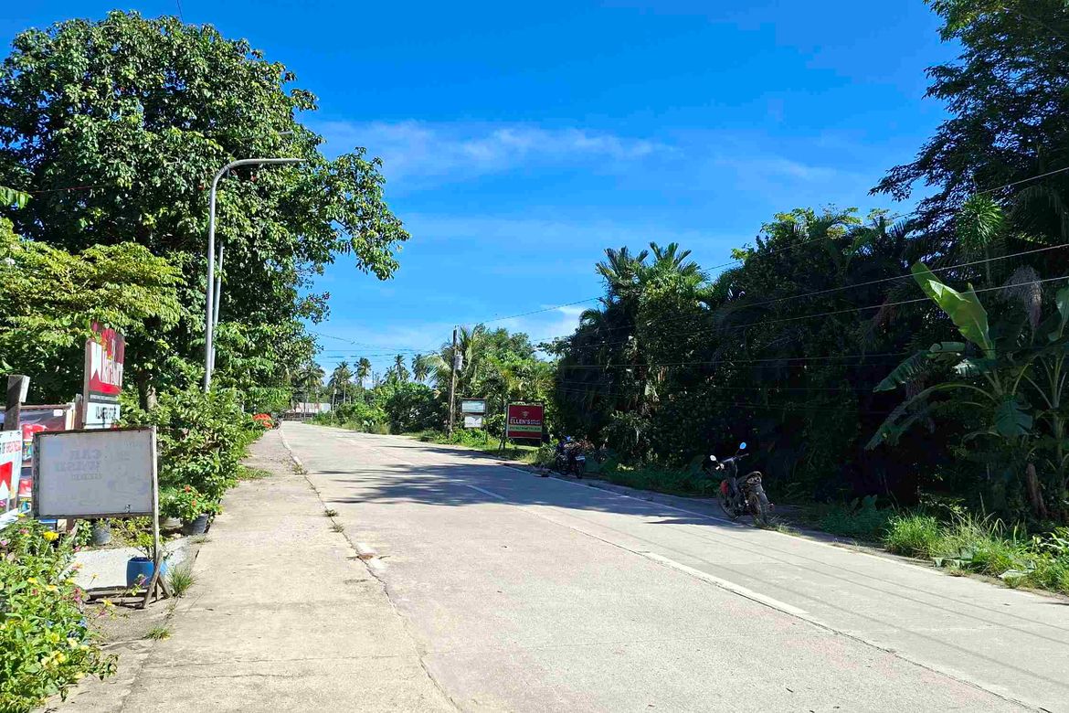 Land for Sale in Caruray, San Vicente, Palawan – photo 4