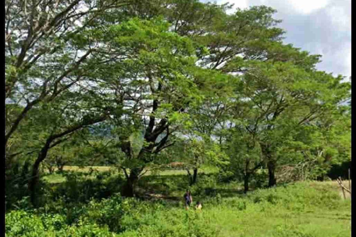 Land for Sale in Casague, Santa Cruz, Occidental Mindoro