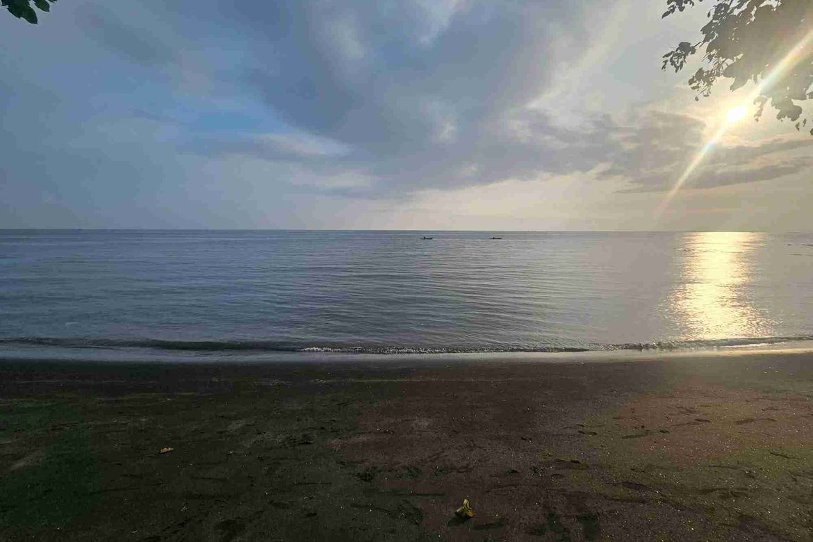 Land for Sale in Casala-An, Siaton, Negros Oriental – photo 2