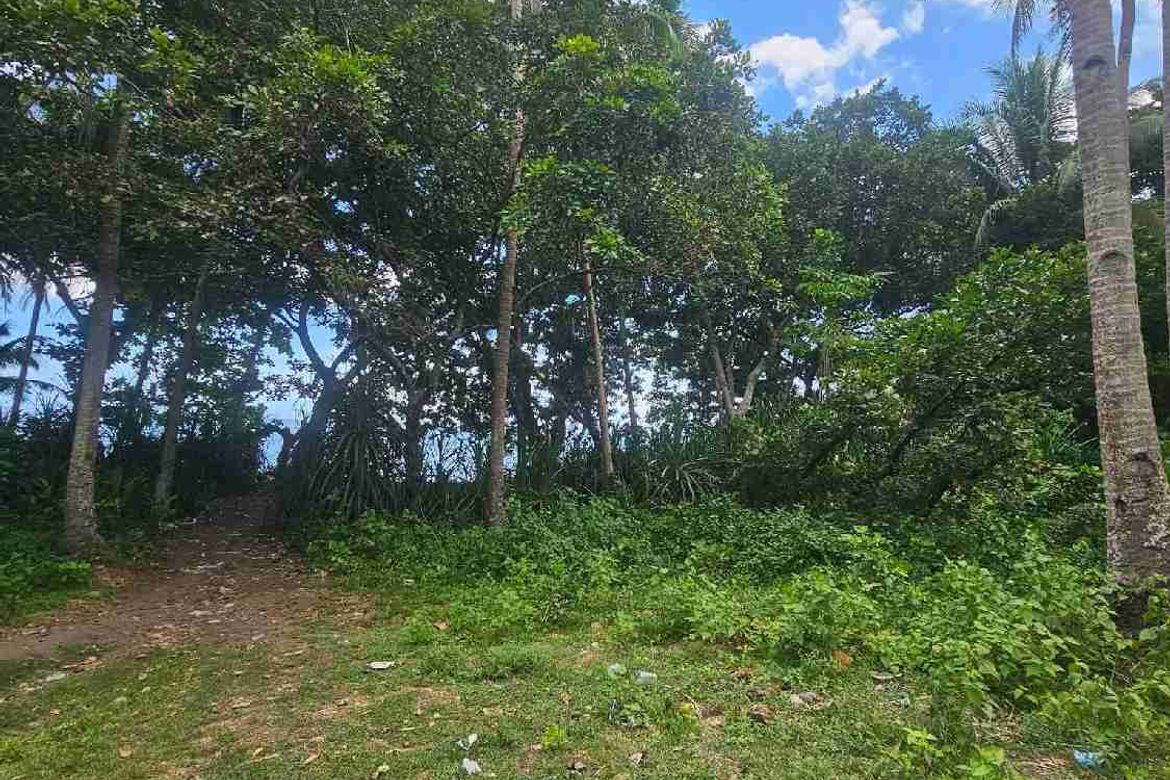 Land for Sale in Casala-An, Siaton, Negros Oriental – photo 4