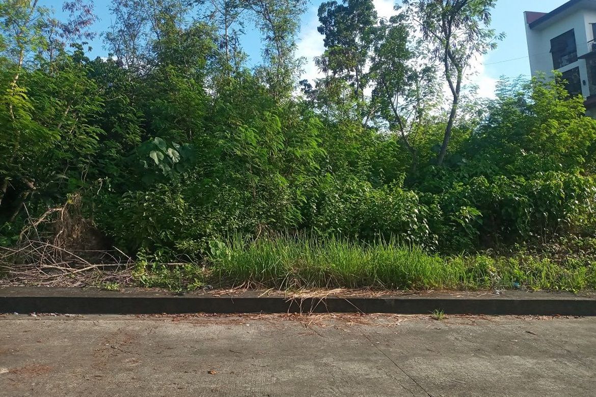 Land for Sale in Casili, Consolacion, Cebu – photo 2