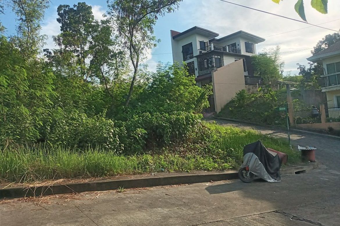 Land for Sale in Casili, Consolacion, Cebu – photo 3