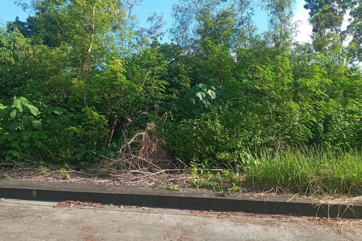 Land for Sale in Casili, Consolacion, Cebu – photo 4