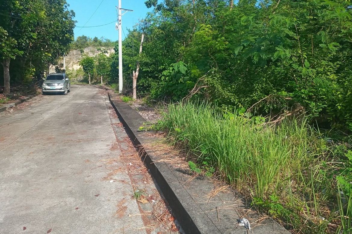 Land for Sale in Casili, Consolacion, Cebu – photo 5