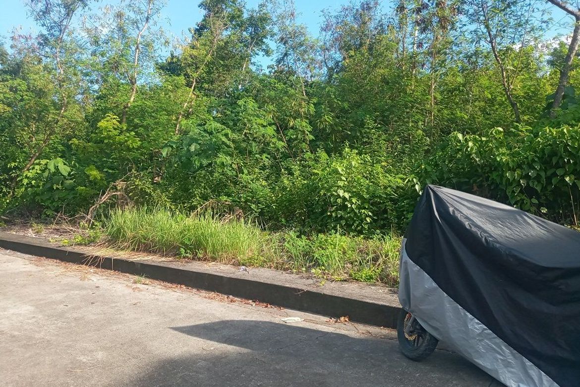 Land for Sale in Casili, Consolacion, Cebu – photo 6