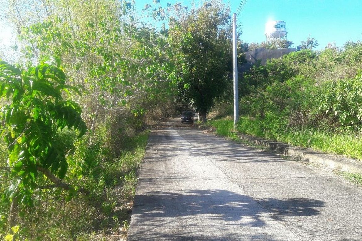 Land for Sale in Casili, Consolacion, Cebu – photo 4