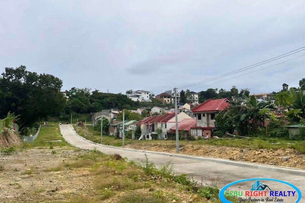 Land for Sale in Casili, Mandaue, Cebu – photo 4