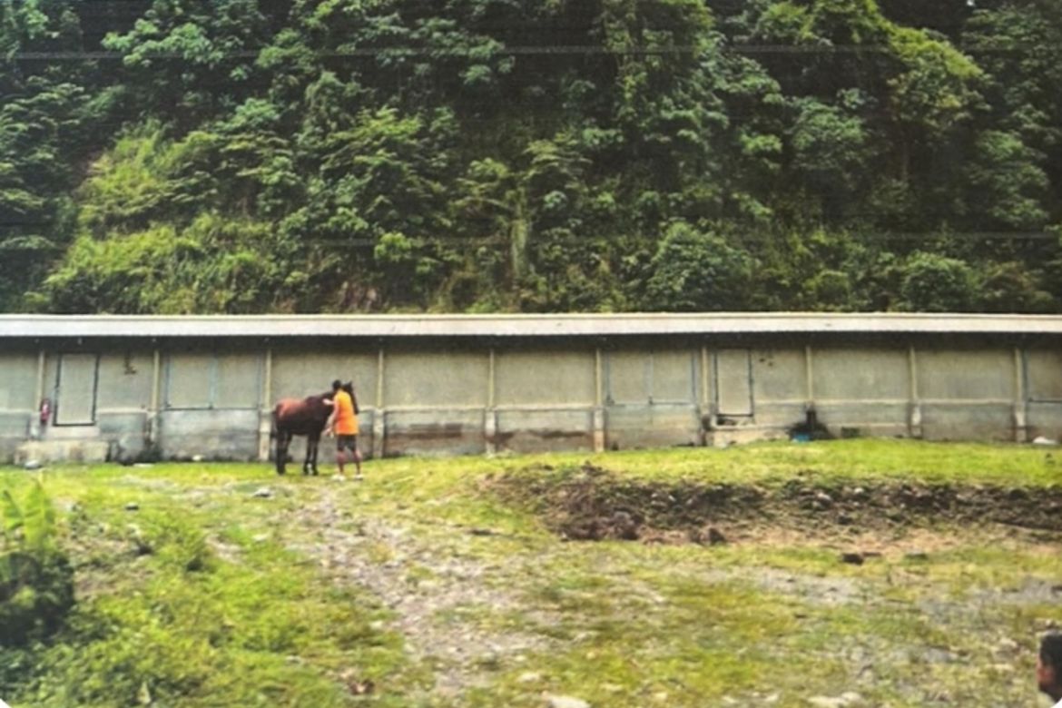 Land for Sale in Casinglot, Tagoloan, Misamis Oriental – photo 3