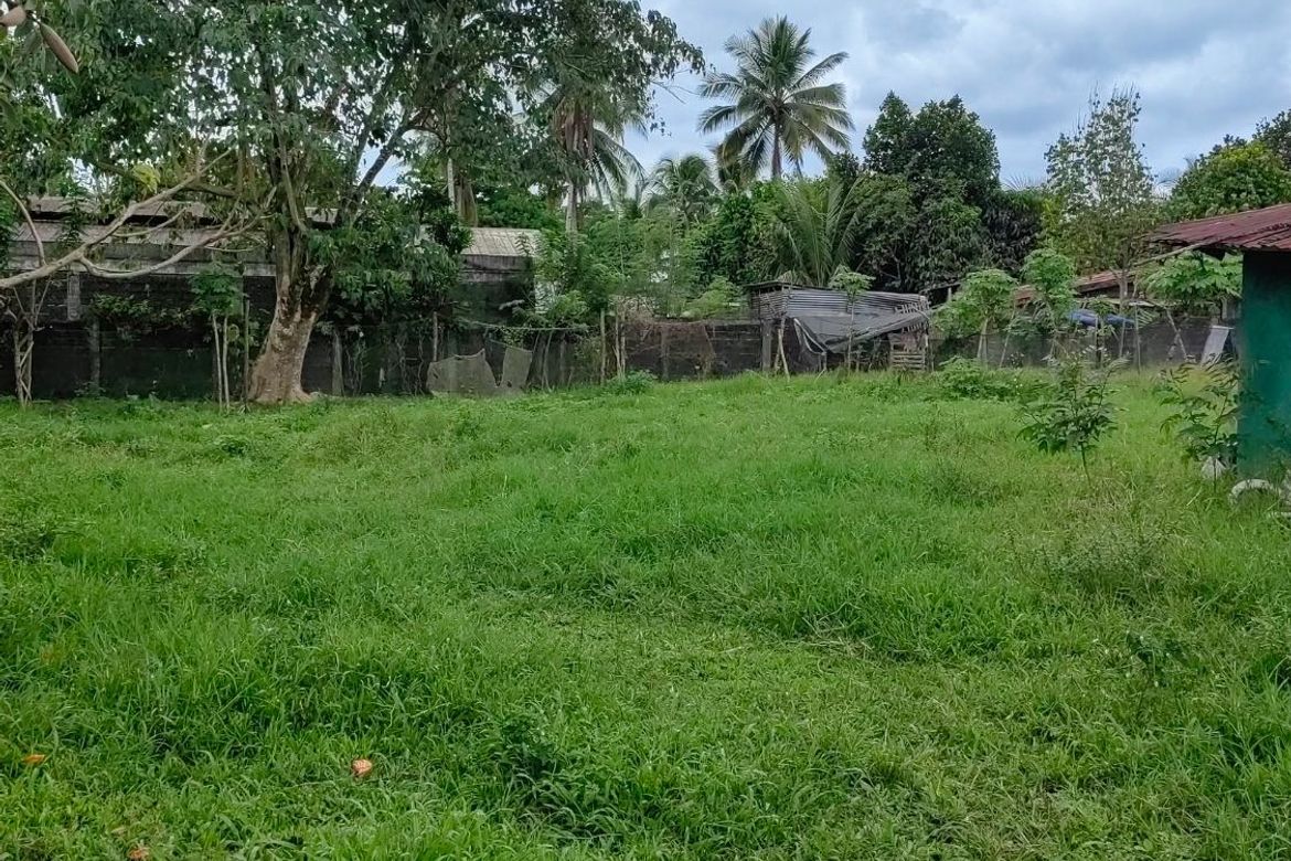 Land for Sale in Casisang, Malaybalay, Bukidnon – photo 5