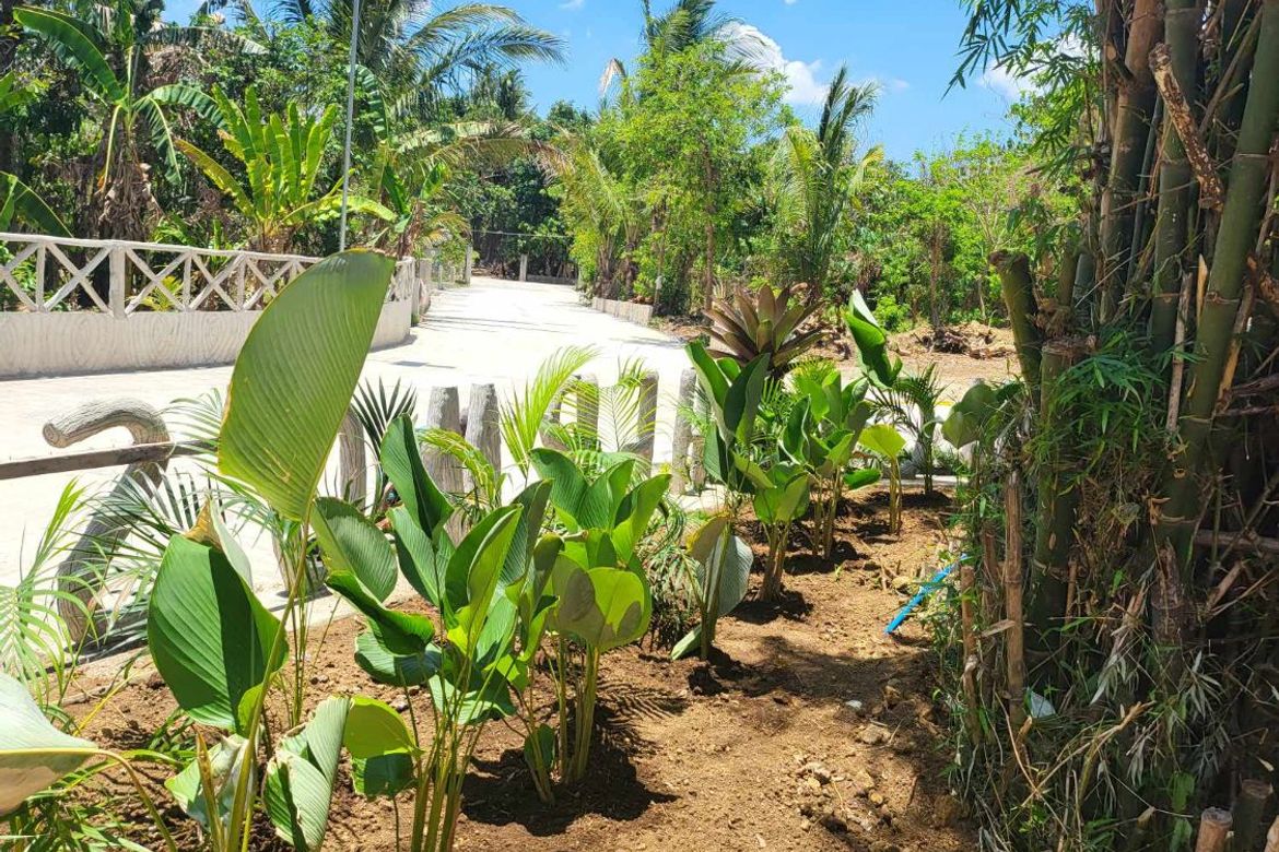 Land for Sale in Castaños Lejos, General Emilio Aguinaldo, Cavite – photo 3