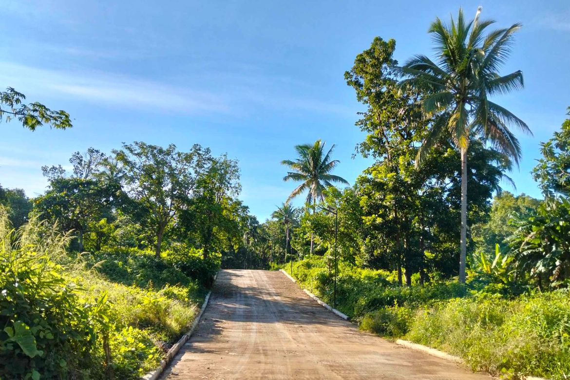 Land for Sale in Castaños Lejos, General Emilio Aguinaldo, Cavite – photo 6