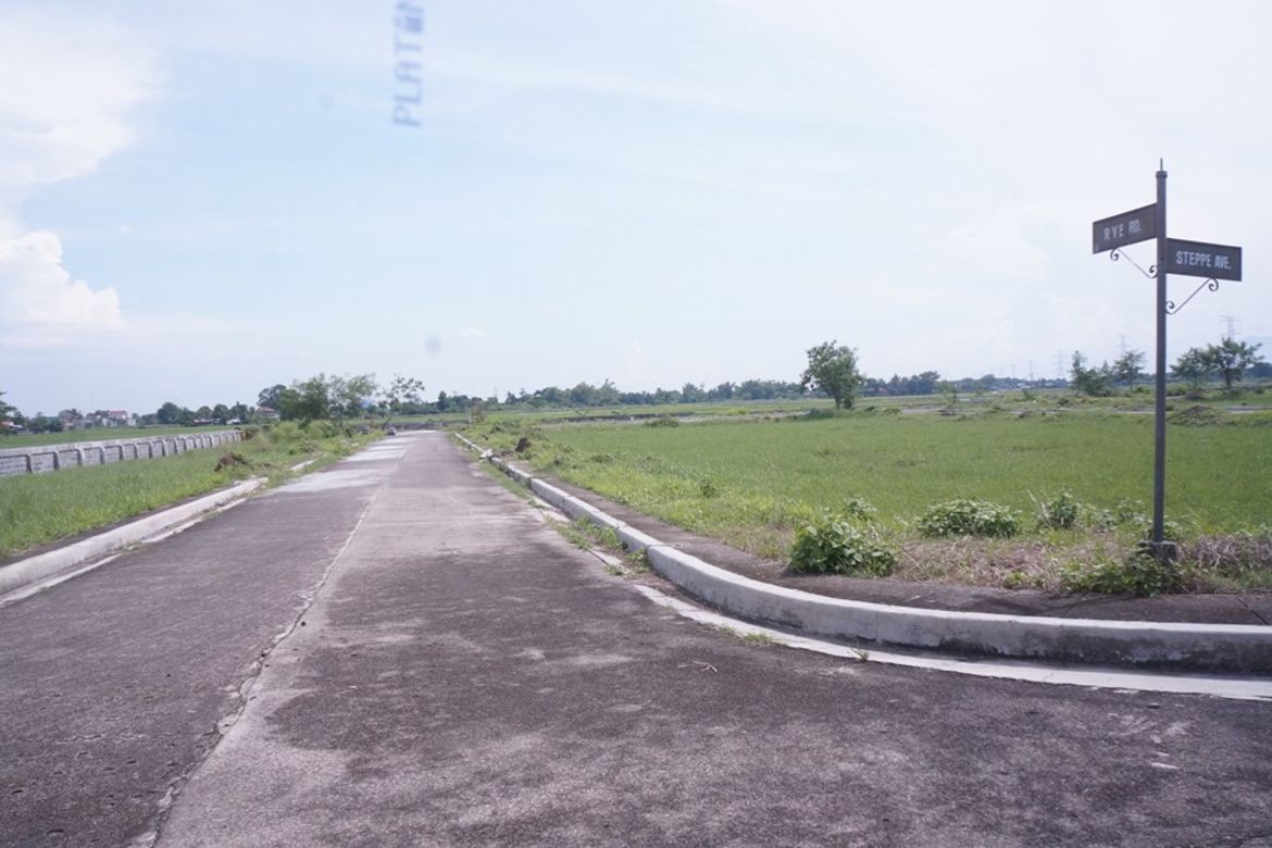 Land for Sale in Castellano, San Leonardo, Nueva Ecija – photo 3