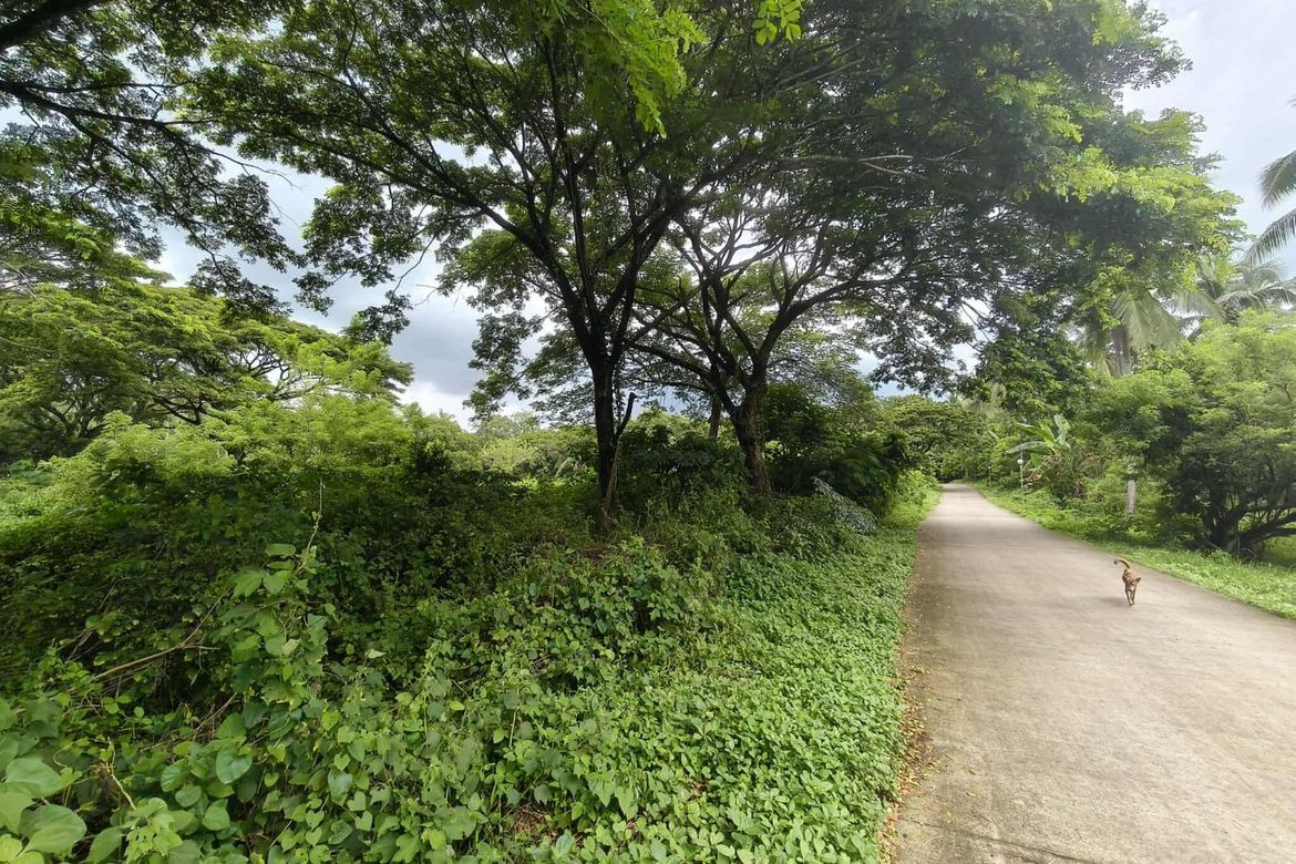 Land for Sale in Castillo, Padre Garcia, Batangas – photo 2