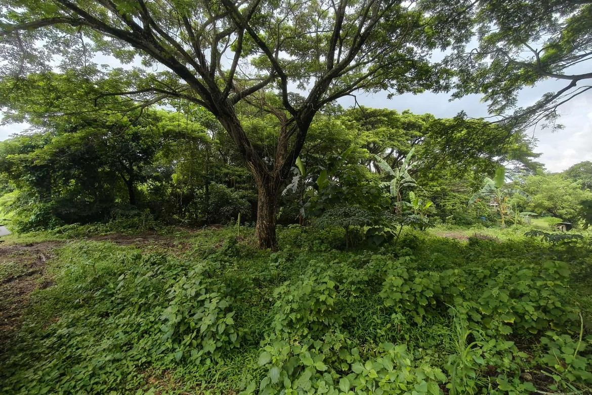Land for Sale in Castillo, Padre Garcia, Batangas – photo 5