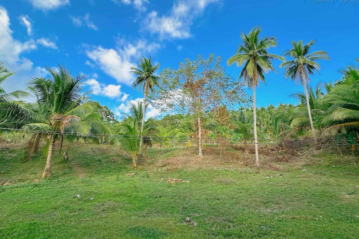 Land for Sale in Catabangan Proper, Ragay, Camarines Sur – photo 3