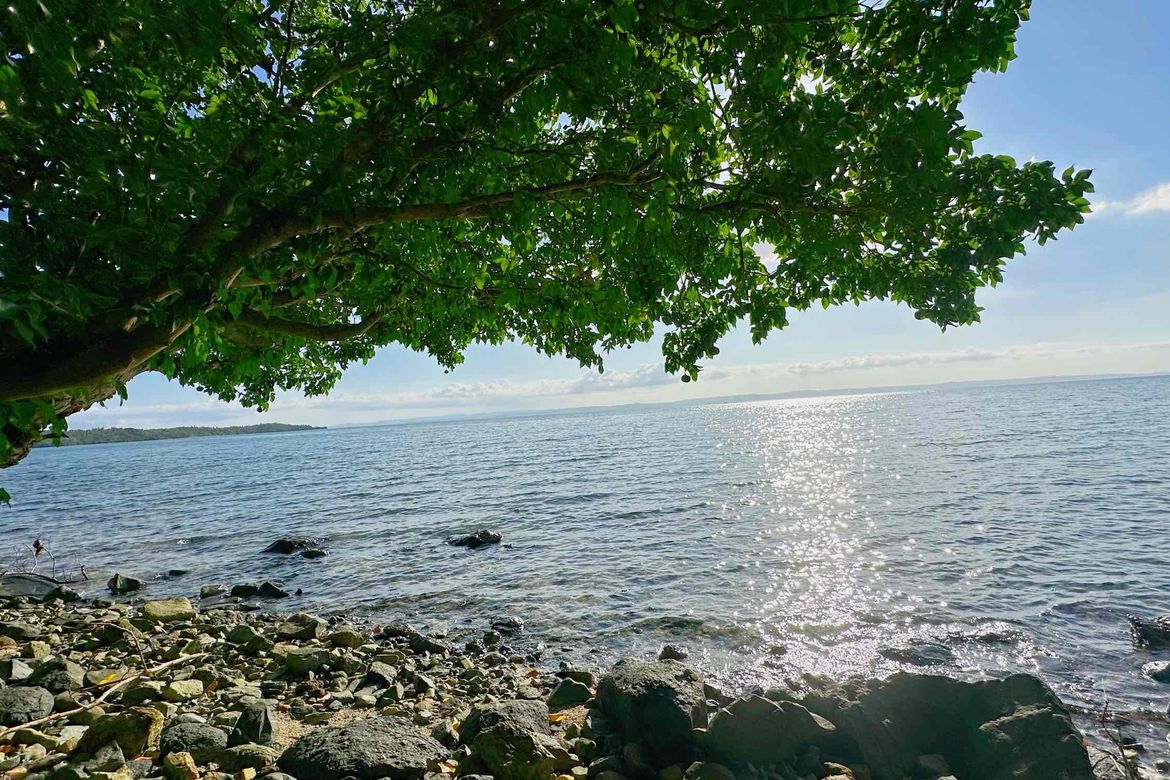 Land for Sale in Catabangan Proper, Ragay, Camarines Sur – photo 4