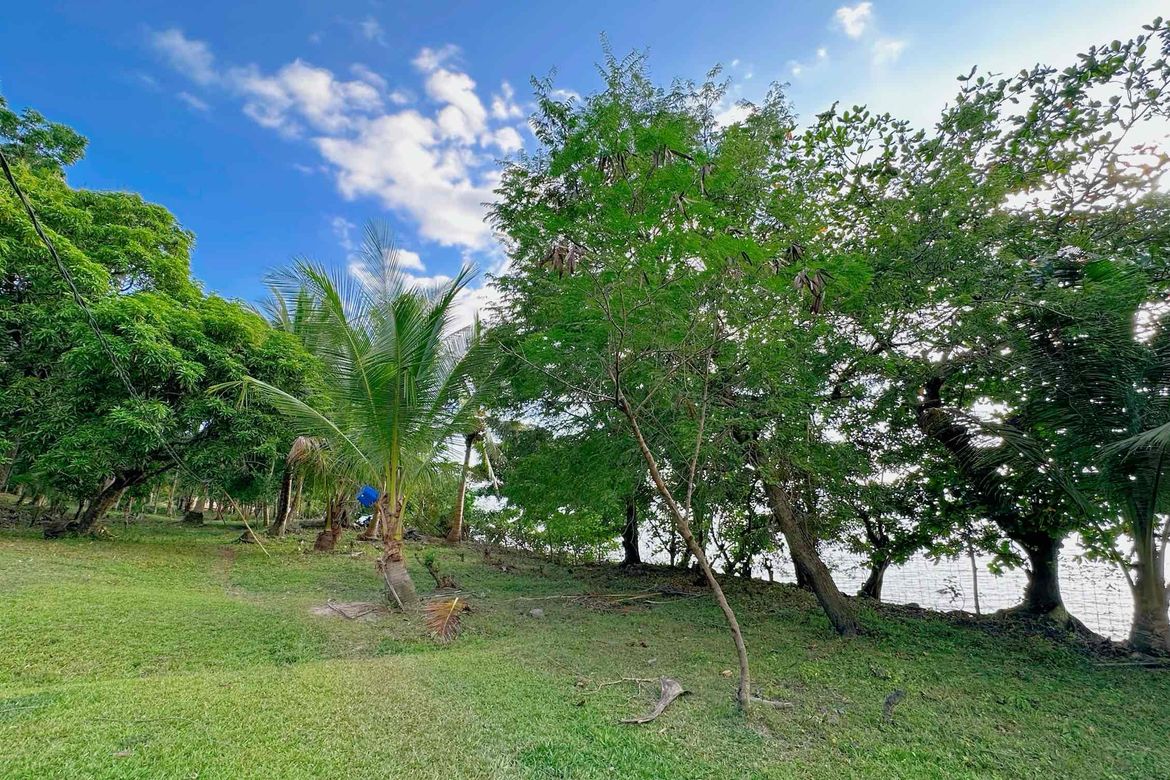 Land for Sale in Catabangan Proper, Ragay, Camarines Sur – photo 5