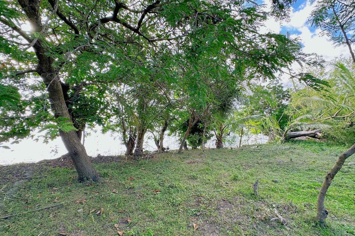 Land for Sale in Catabangan Proper, Ragay, Camarines Sur – photo 6