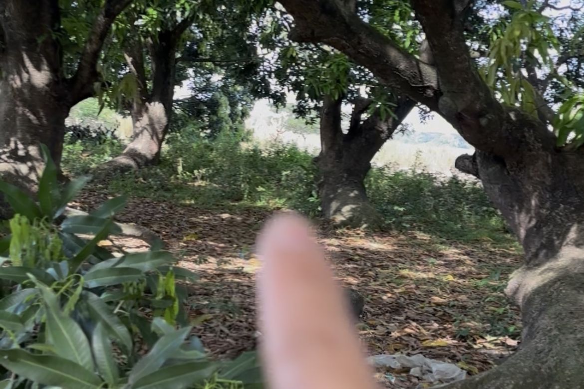 Land for Sale in Catablan, Urdaneta, Pangasinan – photo 8