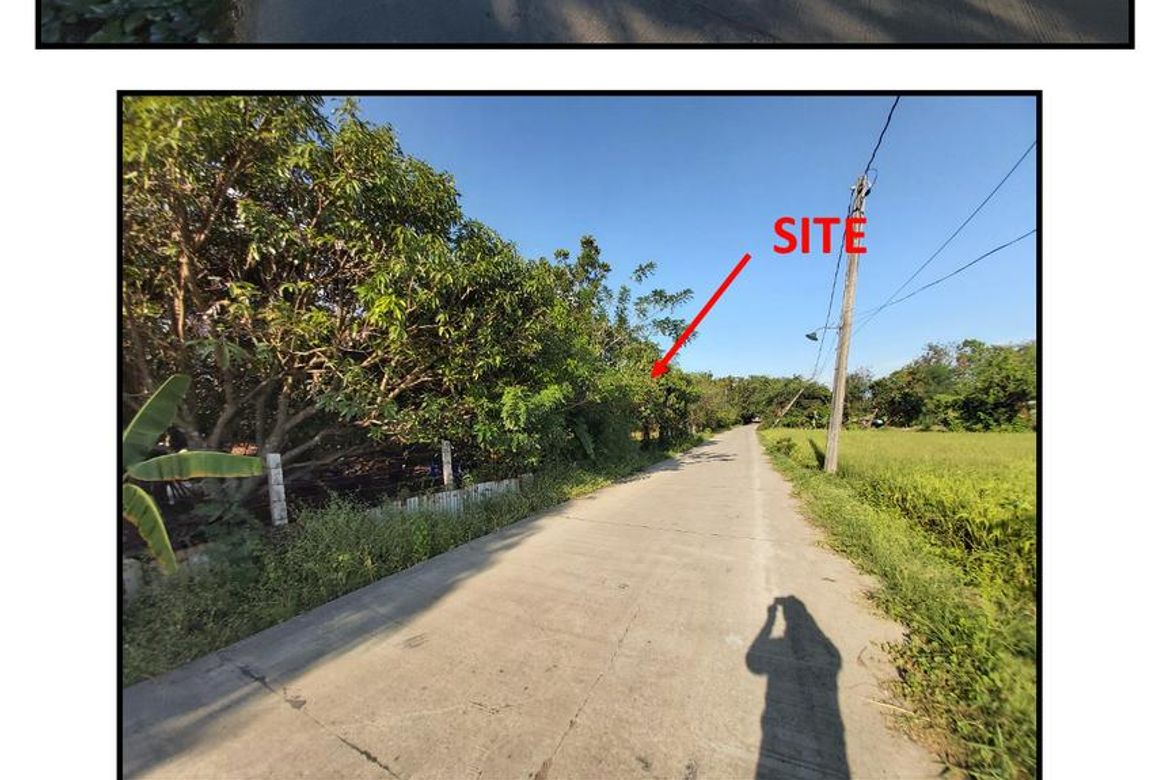 Land for Sale in Catacte, Bustos, Bulacan – photo 2