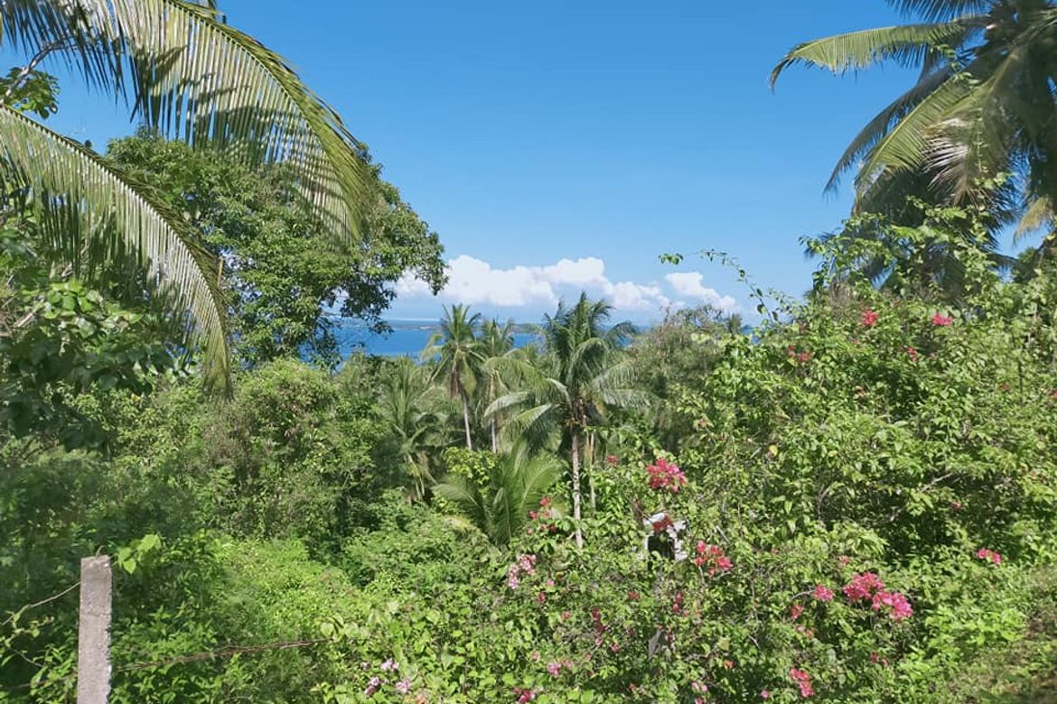 Land for Sale in Catagbacan Sur, Loon, Bohol – photo 2