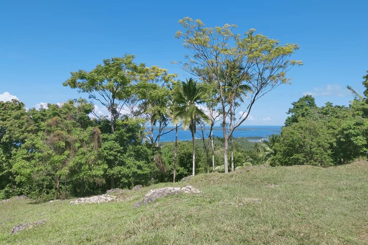 Land for Sale in Catagbacan Sur, Loon, Bohol – photo 3