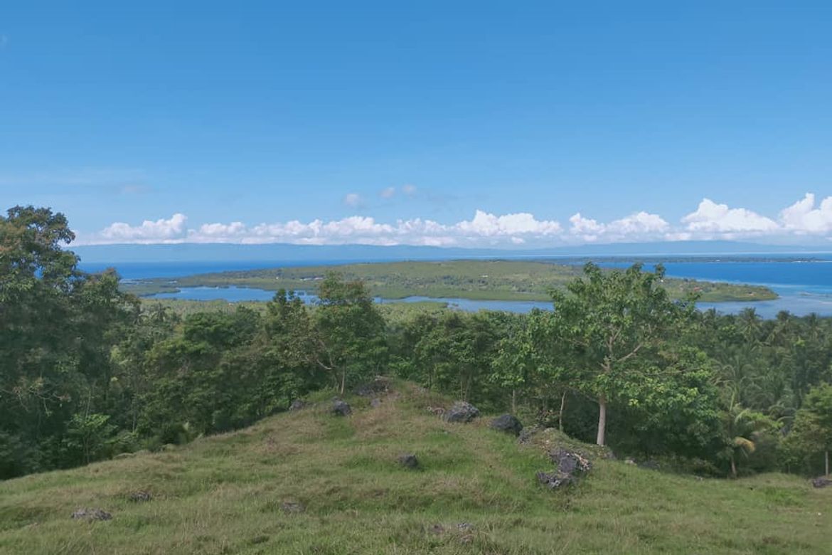Land for Sale in Catagbacan Sur, Loon, Bohol – photo 5