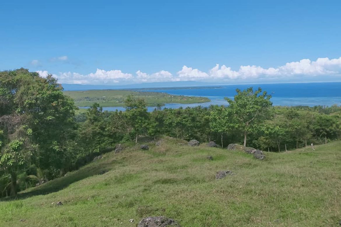 Land for Sale in Catagbacan Sur, Loon, Bohol – photo 6