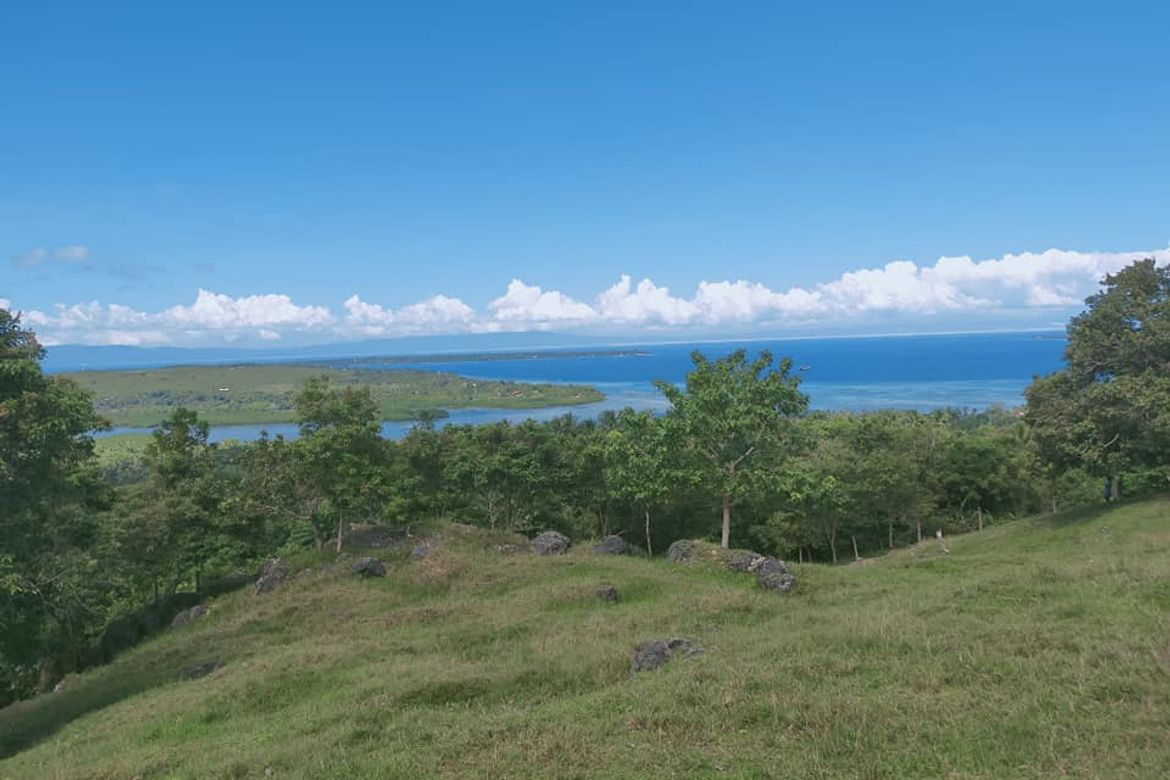 Land for Sale in Catagbacan Sur, Loon, Bohol – photo 7