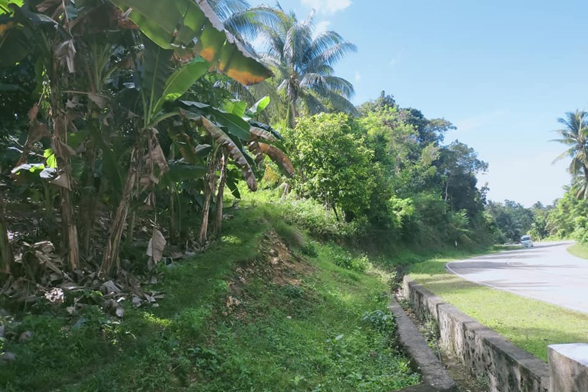 Land for Sale in Catagbacan Sur, Loon, Bohol – photo 8