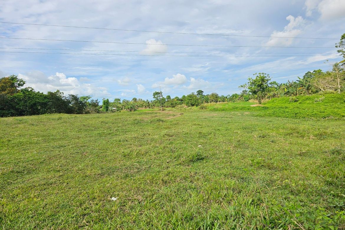 Land for Sale in Catagda-An, Pilar, Bohol – photo 6