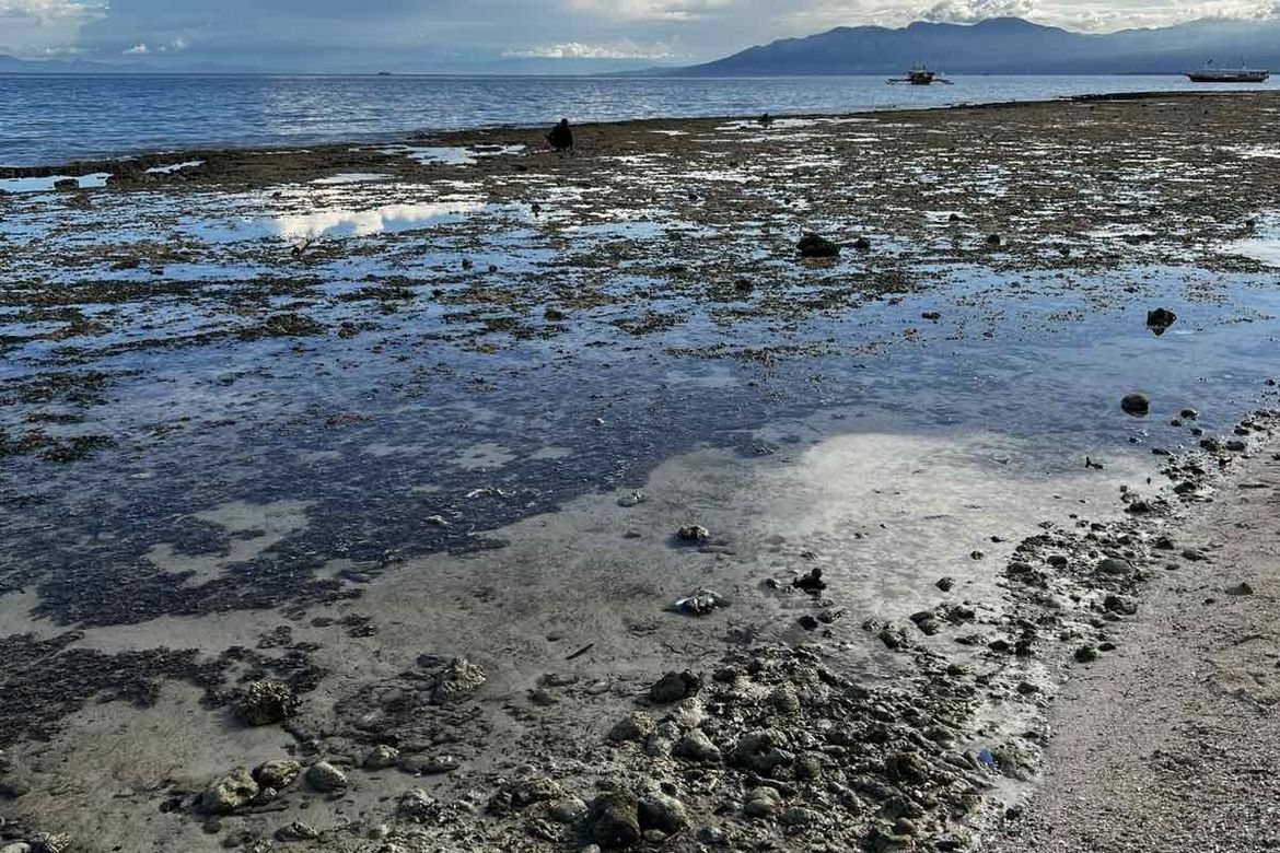 Land for Sale in Catagman, Samal, Davao del Norte – photo 2